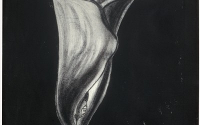 Black flowers - cm 150 x 100 - tecnica mista su tela - 1989